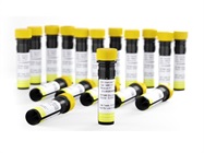 New BD Horizon RealYellow™ 586 Reagents now available