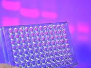 qPCR and dPCR: Advantages and Best Uses