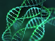 Benefits of Using Synthetic sgRNA for CRISPR-based Editing