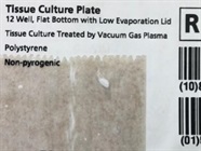 High Quality 12-Well Plate