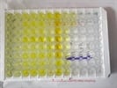 High Sensitivity and Reproducibility With ELISA Kit