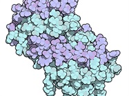 Detecting and Measuring Cytokines