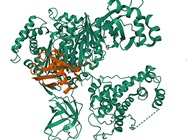 PROTACs: A Practical Guide