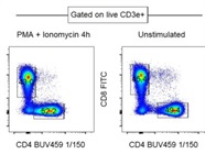 Very Good Anti-Mouse CD4 Antibody