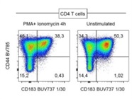 Good Option to Stain for CXCR3 (CD183)