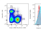 Not Very Good Anti-Plexin-B2 Antibody