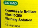 Great Commassie Blue Staining Solution