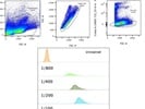 Good Anti-Mouse CD48