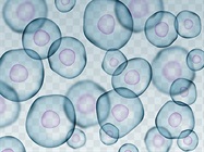 Running Successful Single-Cell Sequencing Experiments