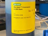 Excellent and Easy Gel Staining