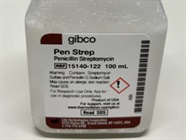 Penicillin-Streptomycin is Suitable for Maintaining Sterile Cell Cultures
