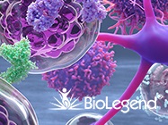 40% Discount on Biofunctional Antibodies