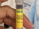 Great Ladder to Use for Western Blot