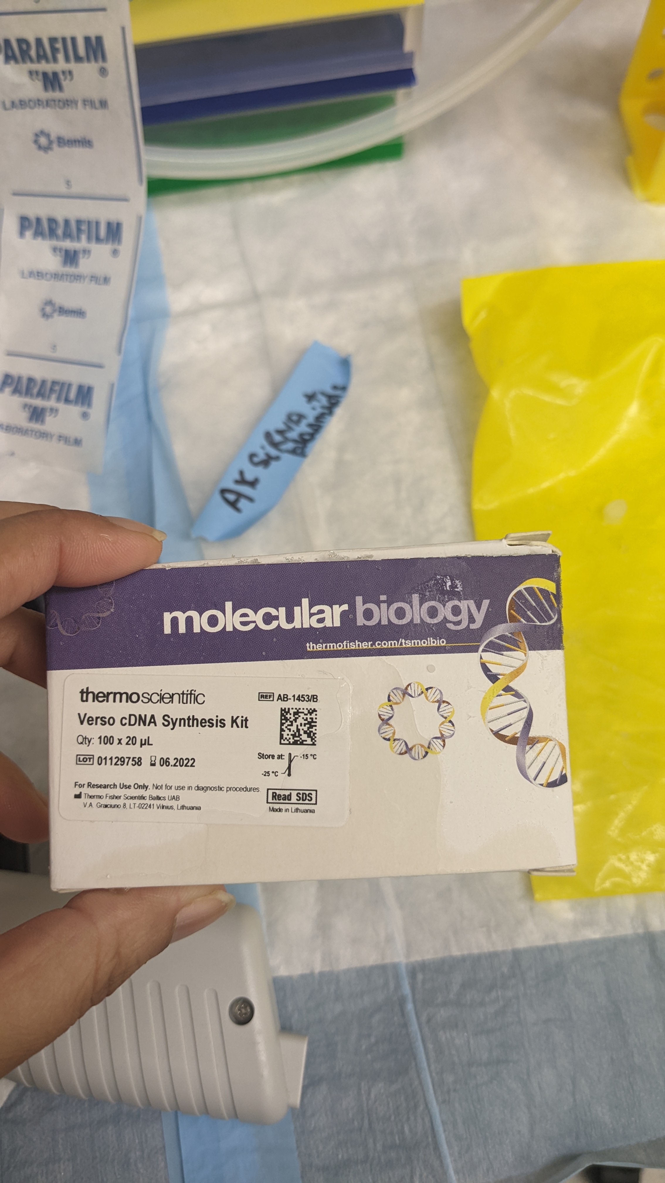Great Kit to Get cDNA from RNA Kit/Reagent Review