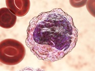 A Guide to Monocytic MDSC Markers
