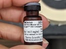 Great Secondary Antibody from Thermo Fisher