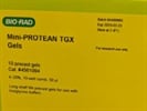 Great Gels for Western Blot