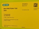 Great Gels for Western Blot