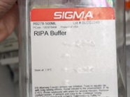 Great for Protein Lysis