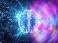 Brain-Derived Neurotrophic Factor: Knowns and Unknowns About an Endogenous Neuroprotectant