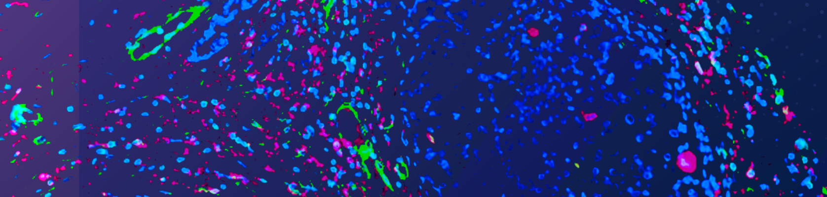  Milestones in Spatial Biology