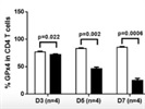 Great GPX-4 Antibody
