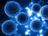 3D Cells & Organoids for Disease Modeling and Personalized Medicine