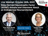 Brain-Derived Neurotrophic Factor: Knowns and Unknowns About an Endogenous Neuroprotectant