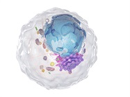 Simplified Characterization of Cells