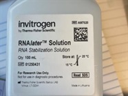 Reliable Solution for RNA Extraction from Tissue