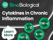 Cytokines in Chronic Inflammation