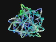 The Frontier of Post-Translational Modification Analysis