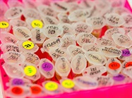 Best Practices for Biological Sample Storage and Management