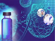 Host Cell Proteins in Viral Vector Production