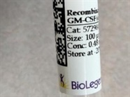 Reliable for Monocyte Differentiation into Macrophage
