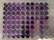Good Assay Kit to Calculate Sample Protein Concentration