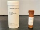 Phalloidin-iFluor 488 Reagent for Actin Staining