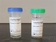 pHrod Green AM for Intracellular pH Measurement