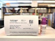 Great Antibody for Immunofluorescence