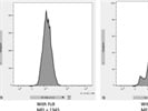 Reliable Fc Block for Flow Cytometry of Human Cells