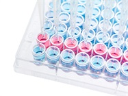 Infographic: Ten Tips for Developing a Successful Sandwich ELISA