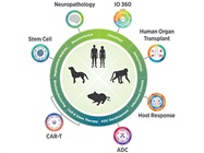 Improving Gene Expression Analysis