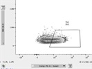 Great Anti-GATA3 Antibody for TF Staining