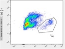 Great Ly-6G/Ly-6C Antibody for Flow
