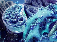 Innovations in accurate mass for high throughput proteomics