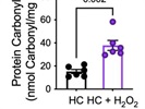 Protein Carbonyl Content Assay Kit Works Ok, but Expensive