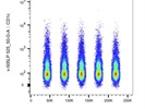 BV510 CD1c Flow Cytometry Antibody
