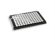 What You Should Know about PCR Plastics