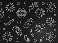 Preventing, Detecting, and Addressing Cell Culture Contamination