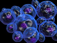 Leveraging Integrated & Advanced Technologies for Successful Cell Line Development